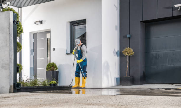 Best Dumpster Area Cleaning  in North Lindenhurst, NY